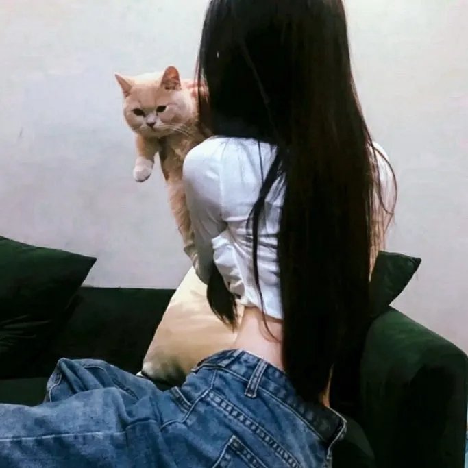 铁汉神犬